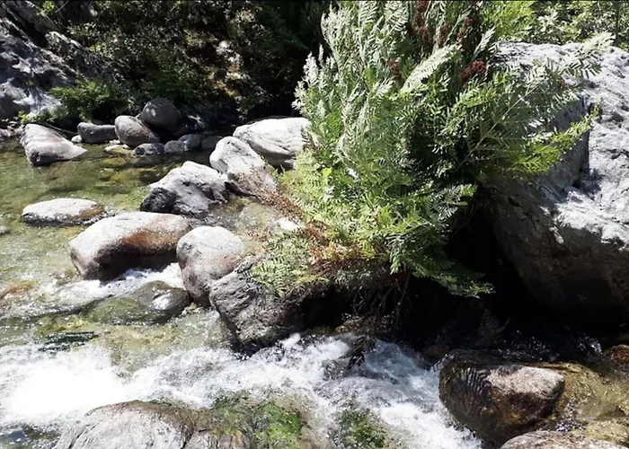 Casa La Colombaia 度假居 *